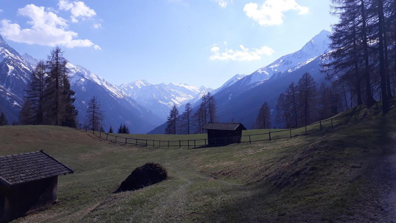 Appart Pfeifer
