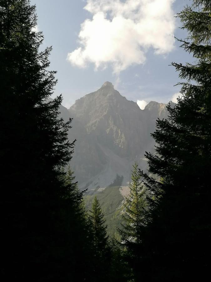 Appart Pfeifer *