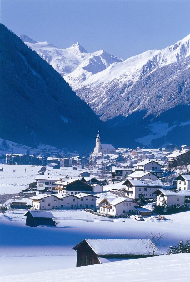 Apartment Appart Pfeifer Neustift im Stubaital