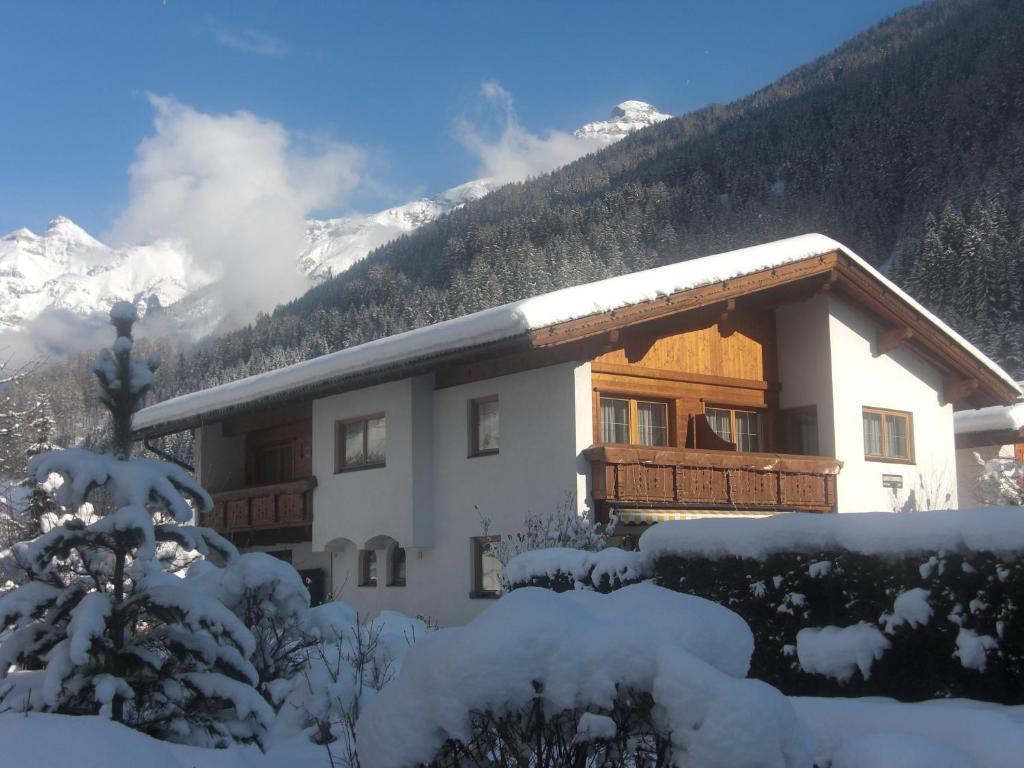 Appart Pfeifer Apartment