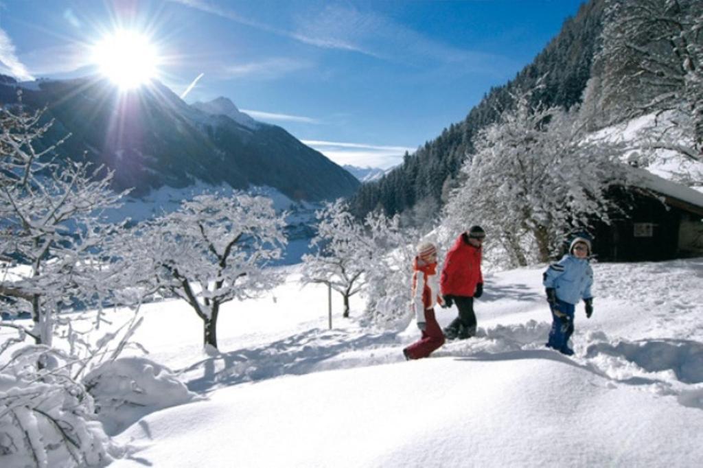 Appart Pfeifer * Neustift im Stubaital