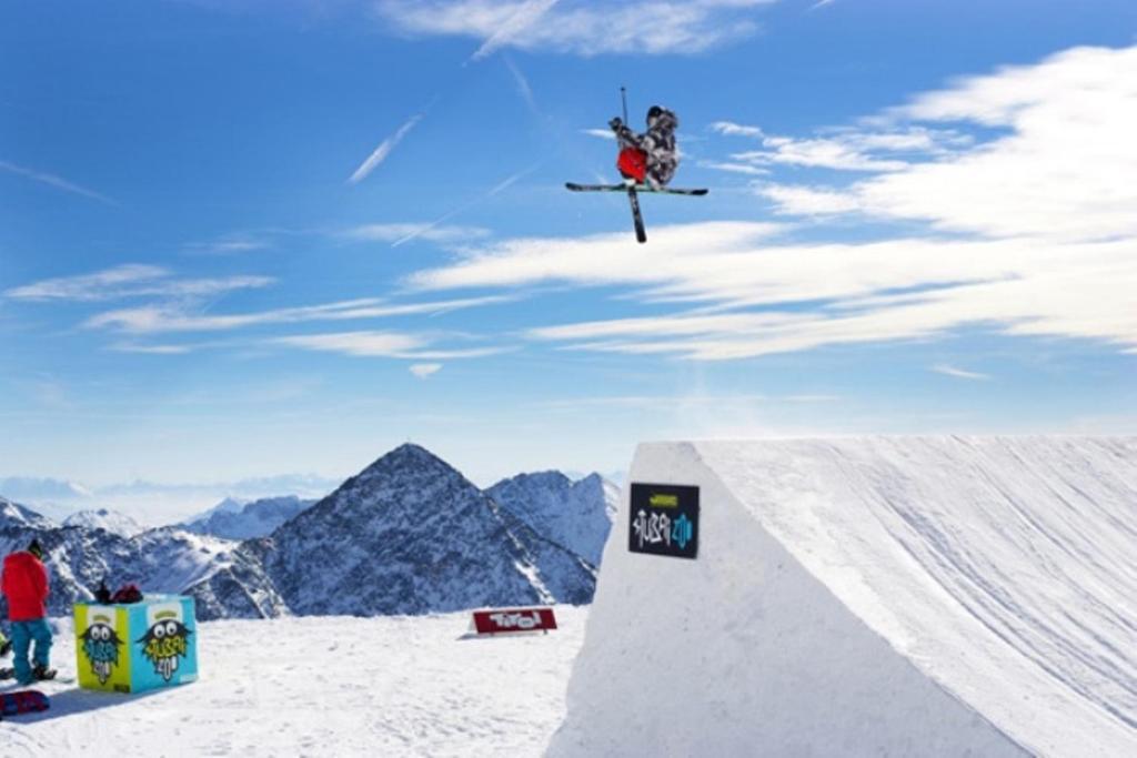 Appart Pfeifer * Neustift im Stubaital