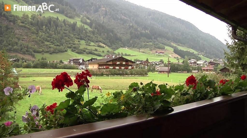 Appart Pfeifer Neustift im Stubaital